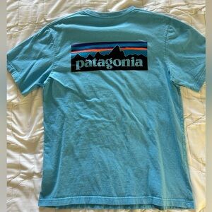 Patagonia Light Blue Regular Fit Tee